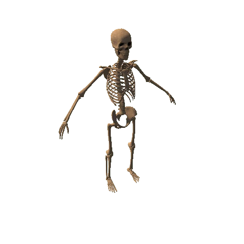 Dirty_Skeleton Variant